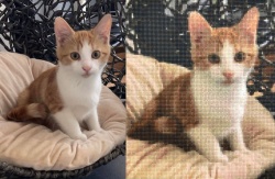 PIXELHOBBY personnalisé