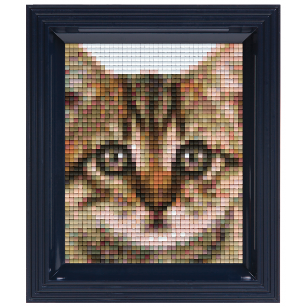 Kit pixel cadeau chat