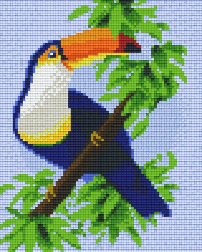 Toucan