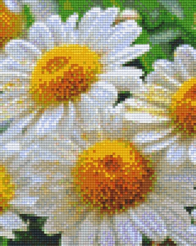 Marguerite