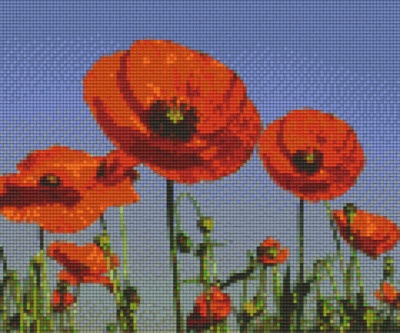 Coquelicot