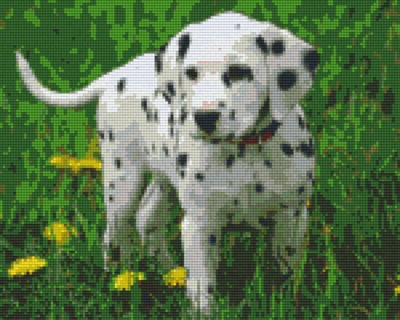 Dalmatien