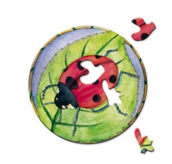 Coccinelle puzzle picoli