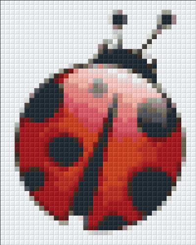 Coccinelle