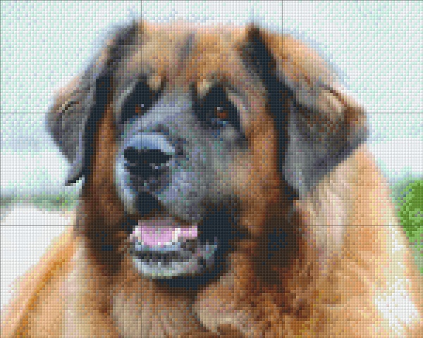 Leonberg