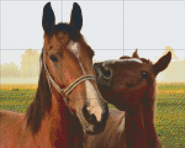 Chevaux