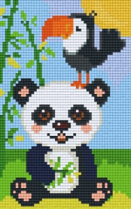 Panda et toucan