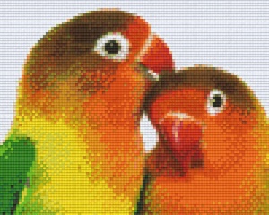 Couple de perroquets