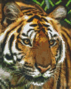 Tigre