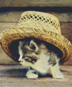 Chaton sous chapeau