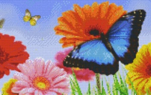 Fleurs et papillons