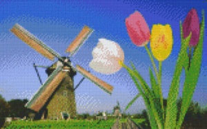 Moulin avec fleurs