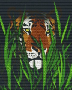 Tigre dans l'herbe