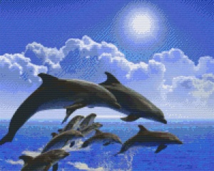 Dauphins