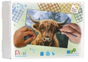 Highland Ecossais