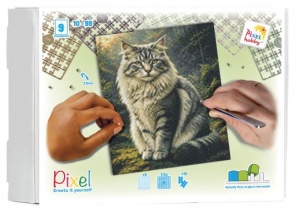 Chat