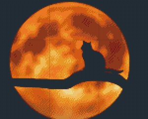 Chat à la pleine lune