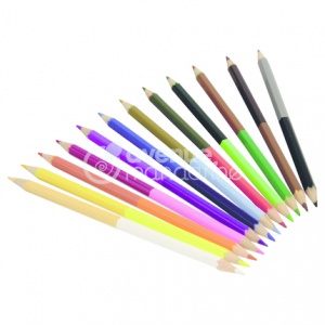 Tube de 12 crayons double pointes - Avenue mandarine