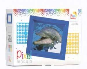 Kit pixel cadeau dauphin
