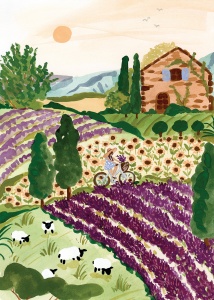 Provence  - Pieces & Peace - 2000 pièces